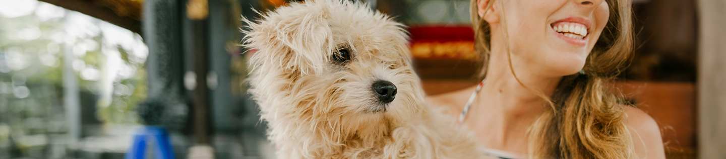 How To Clip Your Dogs Nails At Home