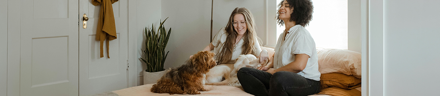 Tips For Moving House With Your Pet Dog