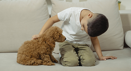 Your Puppy’s First Week At Home